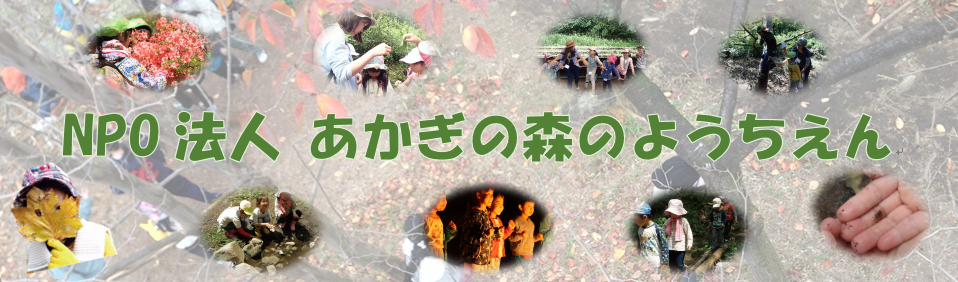 NPO法人あかぎの森のようちえん NPO法人あかぎの森のようちえん