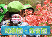 画像の説明 画像の説明