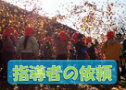 画像の説明 画像の説明